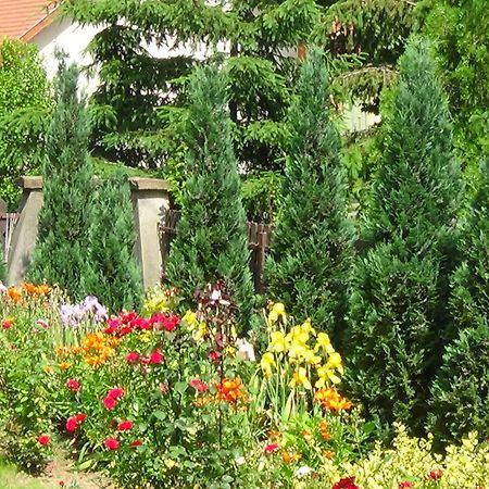 Отель Rozsakert Vendeghaz Romhany Экстерьер фото