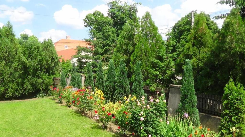 Отель Rozsakert Vendeghaz Romhany Экстерьер фото