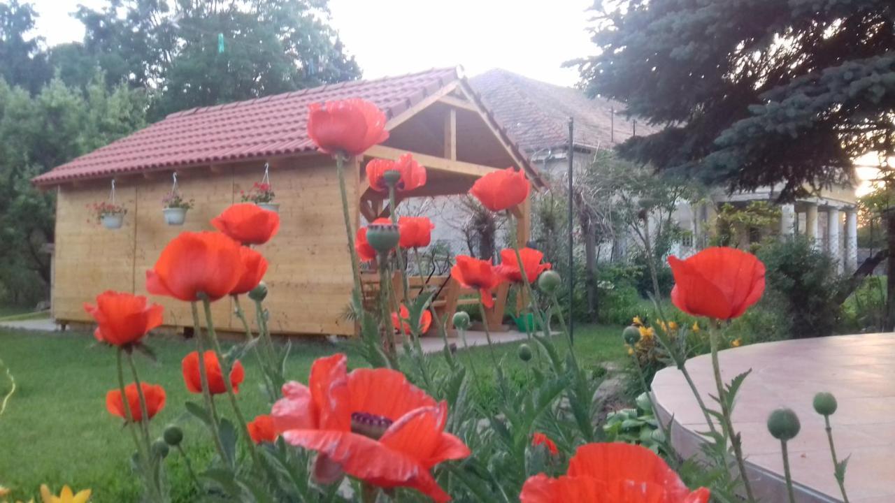 Отель Rozsakert Vendeghaz Romhany Экстерьер фото