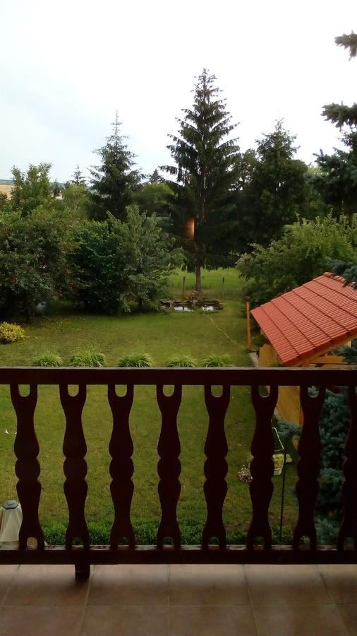 Отель Rozsakert Vendeghaz Romhany Экстерьер фото